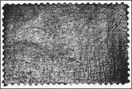 gum03